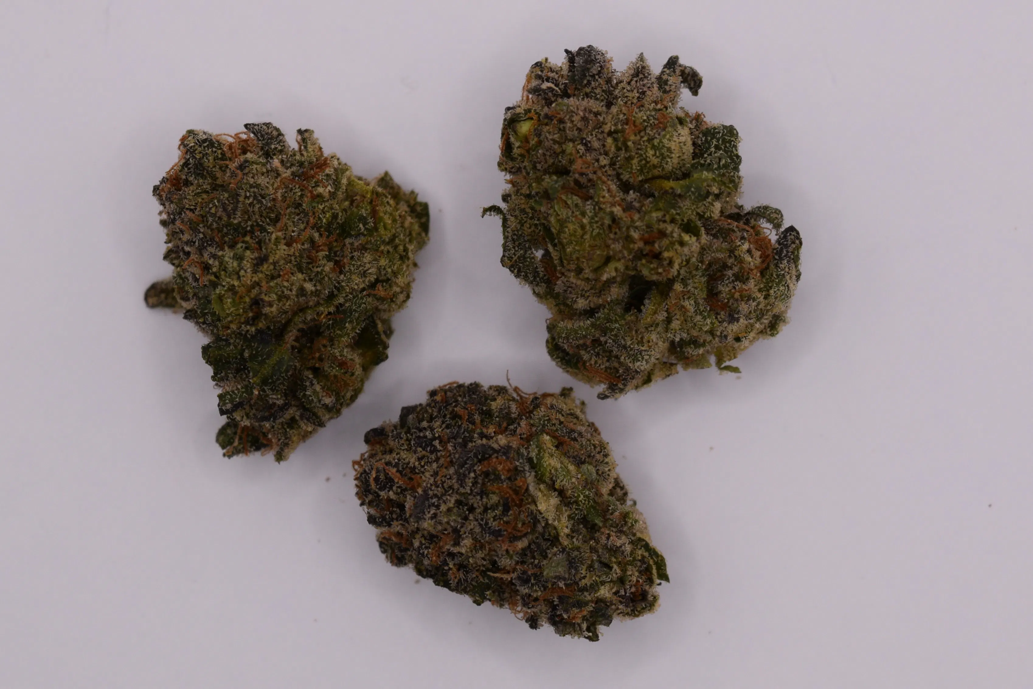 Tiger Moon | Flower | 14g