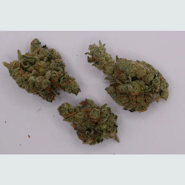 Bahama Peel | Flower | 14g