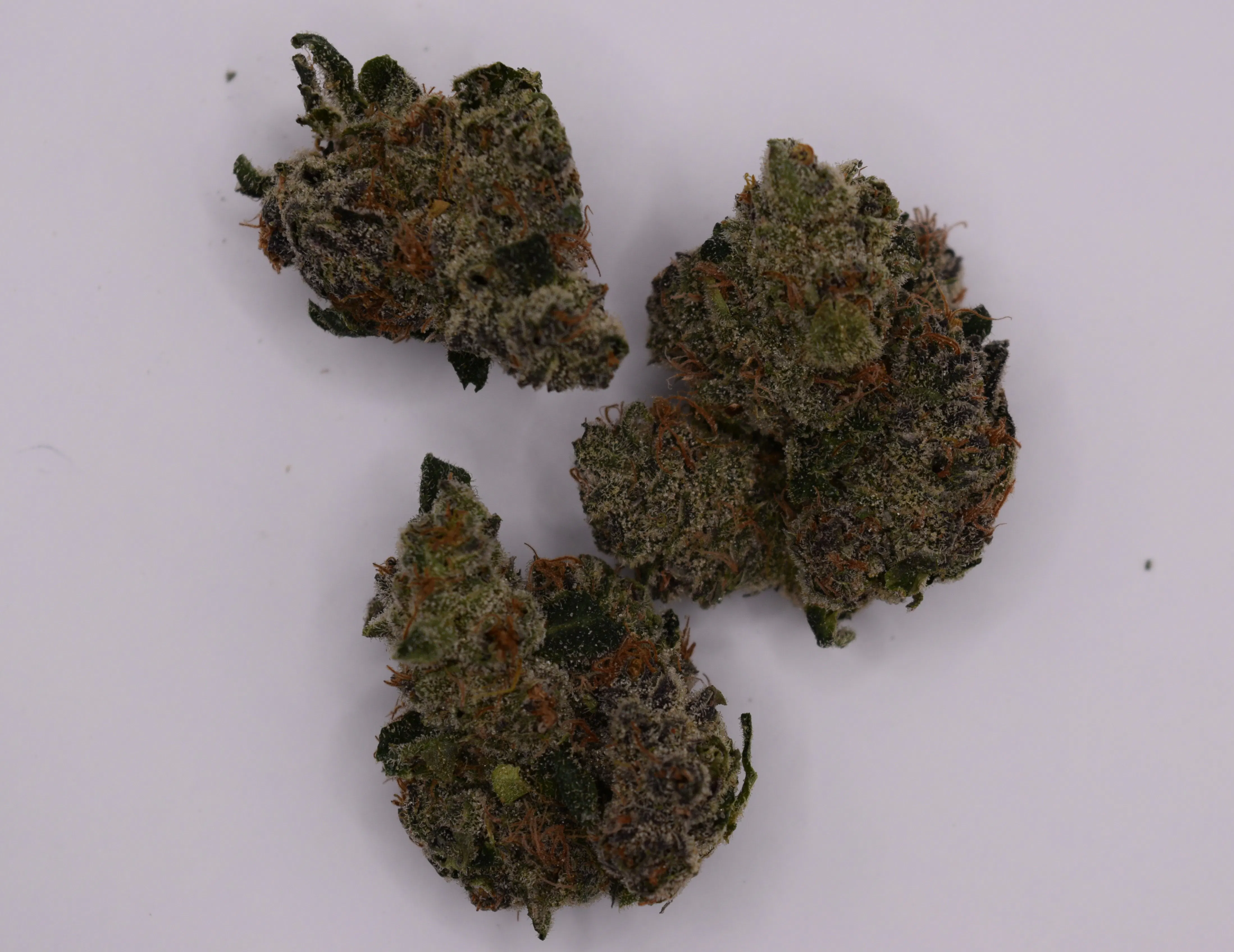 Cherry Bang Bang | Flower | 14g