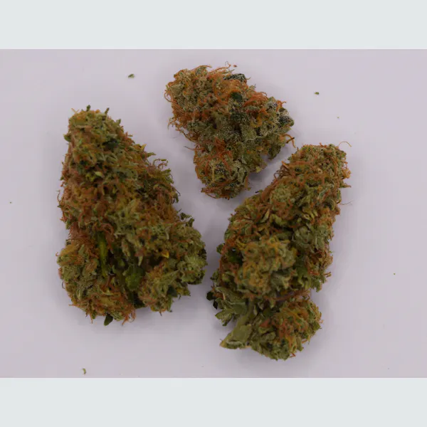 Lemon Cherry Gelato | Flower | 14g