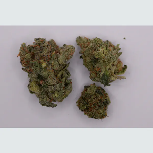 Mind Melter | Flower | 14g
