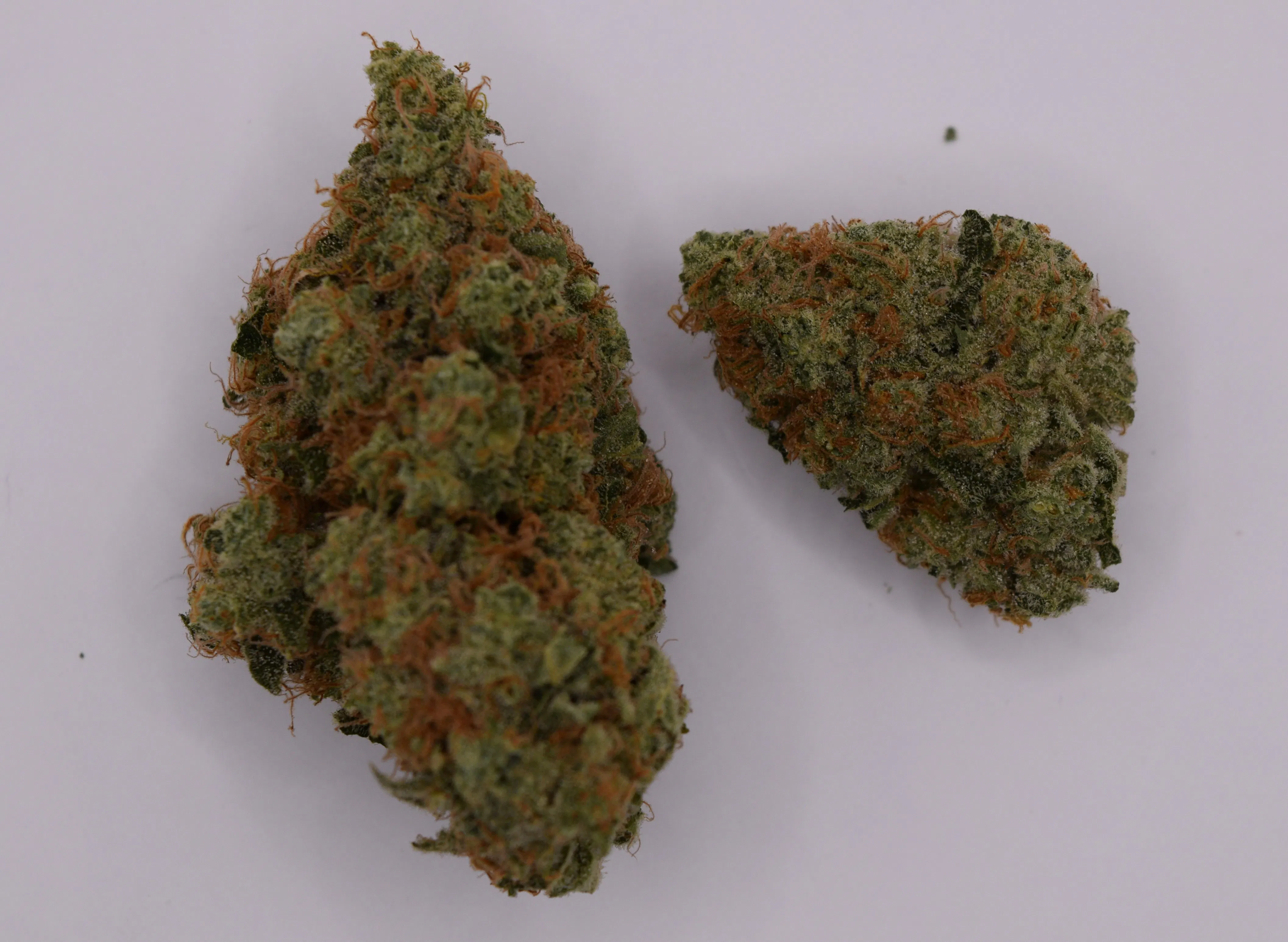 Blue Dream | Flower | 14g | 1/2 oz |