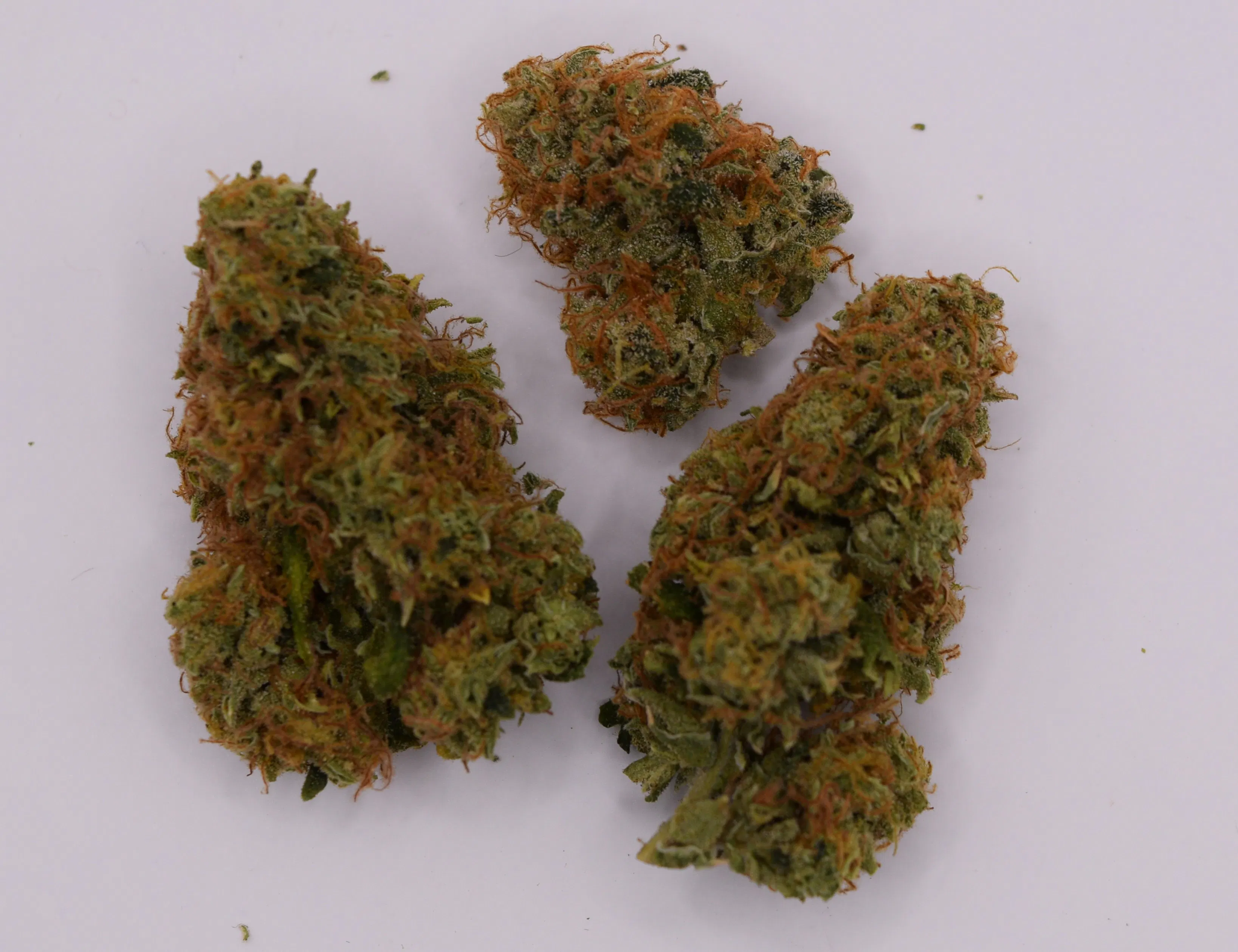 Cap Junky | Flower | 14g