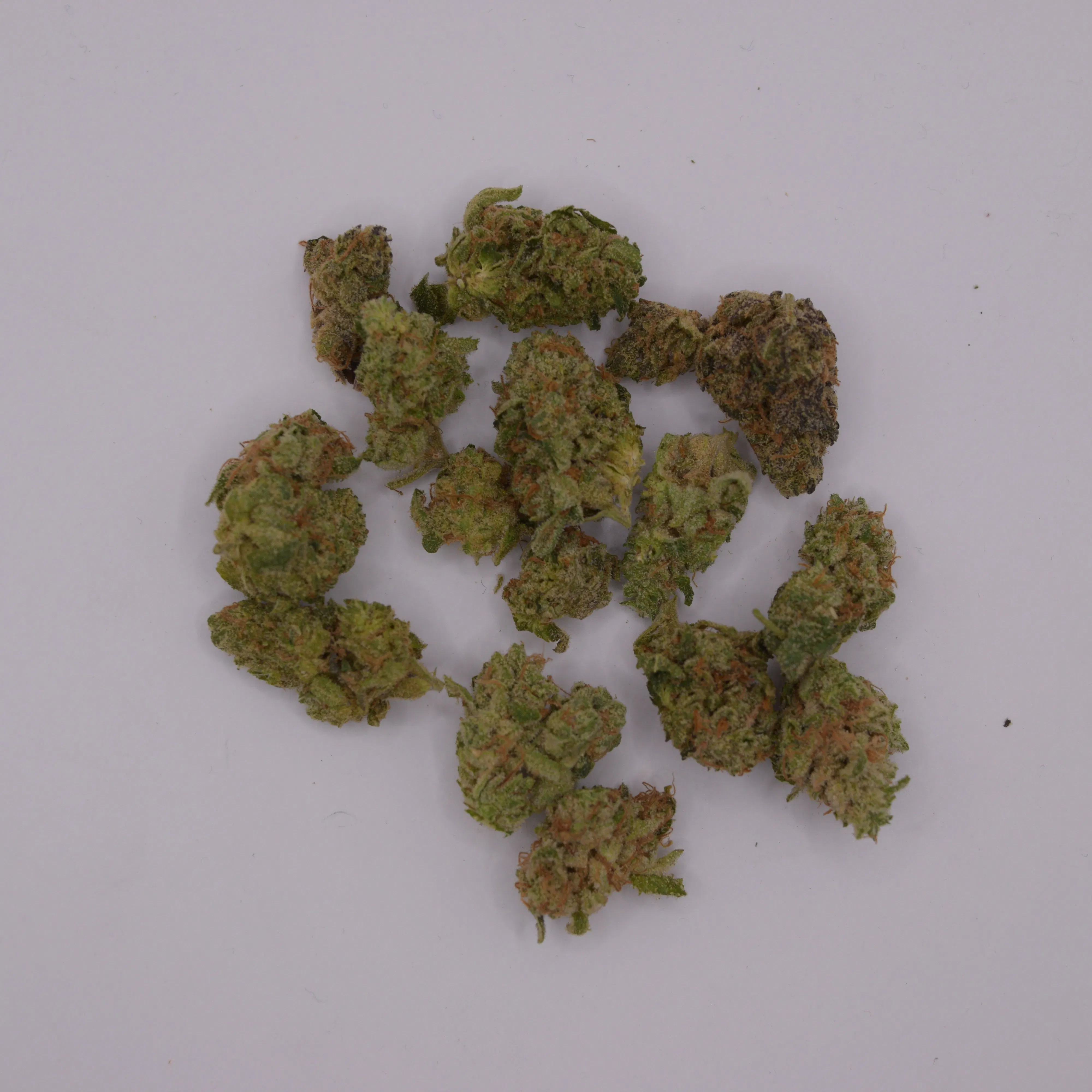 Smalll Bud Special | 1 oz | 28g | Premium | Non Strain Specific