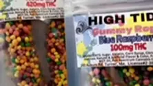 High Tide | Freezer Pop| 100 mg