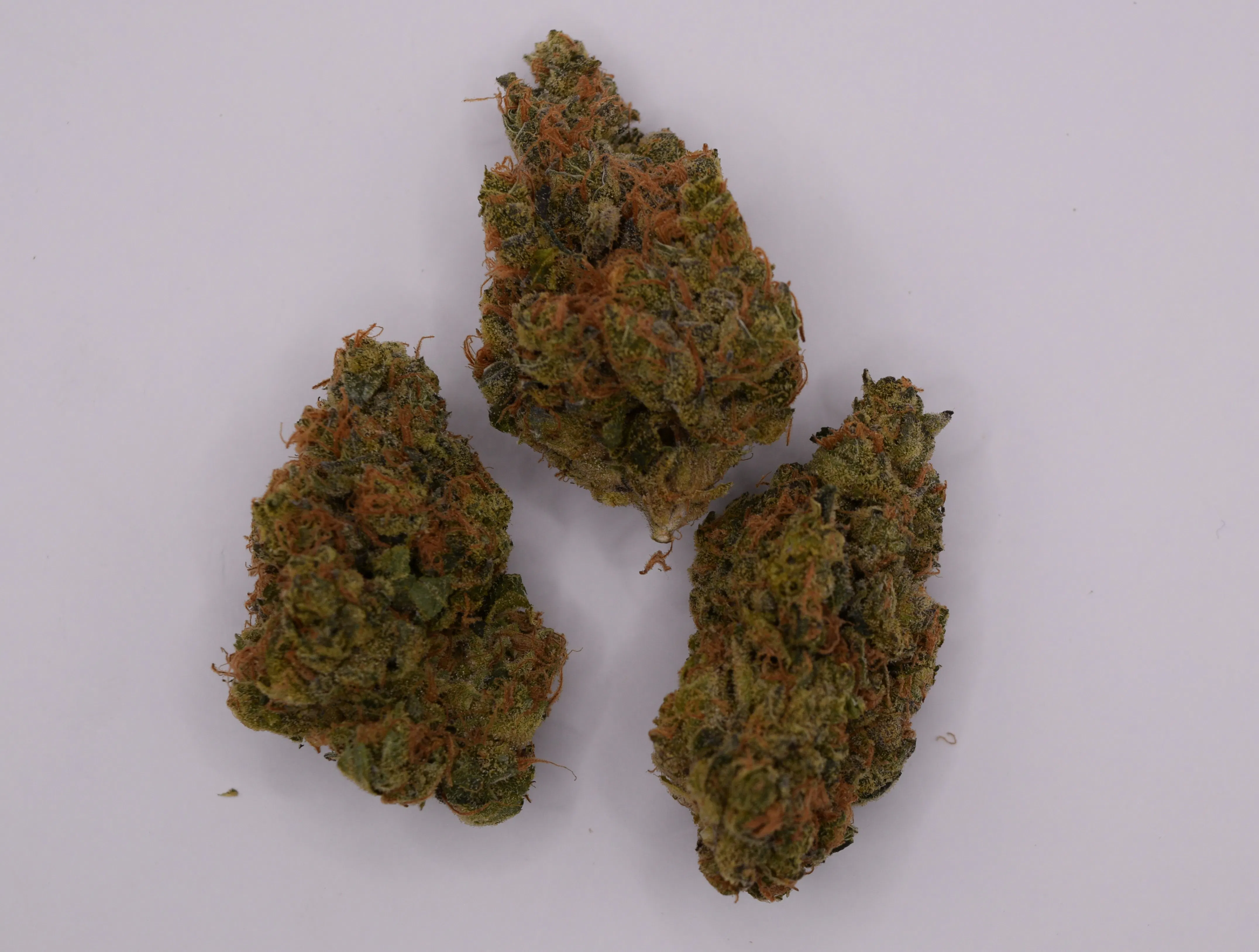 Banana Clipz | Flower | 14g